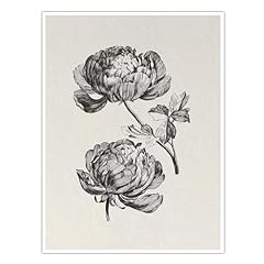 Vintage peony sketch for sale  Delivered anywhere in USA 