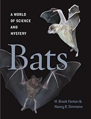 Bats science mystery for sale  Delivered anywhere in UK