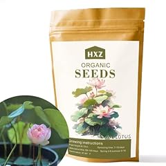 Graines fleurs lotus d'occasion  Livré partout en France