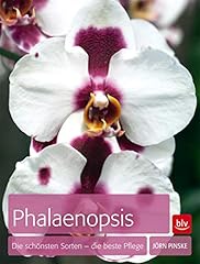 Phalaenopsis schönsten sorten gebraucht kaufen  Wird an jeden Ort in Deutschland