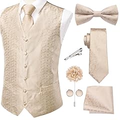 Tie champagne paisley for sale  Delivered anywhere in USA 