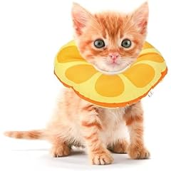 Jevnd kitten cones for sale  Delivered anywhere in USA 