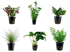 Tropica einsteiger set gebraucht kaufen  Wird an jeden Ort in Deutschland