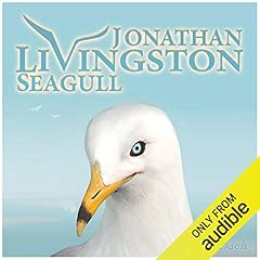Jonathan livingston seagull for sale  Delivered anywhere in USA 