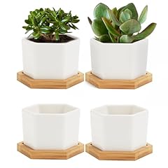 Oamceg succulent pots for sale  Delivered anywhere in USA 