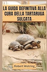 Guida definitiva alla usato  Spedito ovunque in Italia 