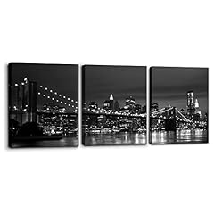 Pacimo new york for sale  Delivered anywhere in USA 