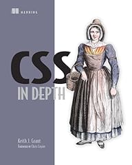 Css depth usato  Spedito ovunque in Italia 