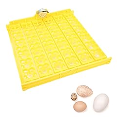 Pssopp automatic egg for sale  Delivered anywhere in USA 