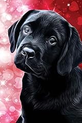 Black lab puppy for sale  Delivered anywhere in USA 