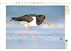 Calvendo puzzle austernfischer gebraucht kaufen  Wird an jeden Ort in Deutschland