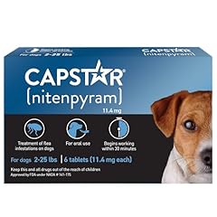 Capstar dogs fast for sale  Delivered anywhere in USA 