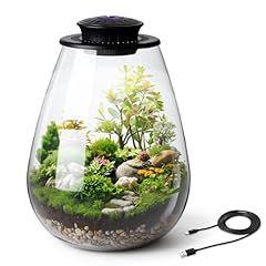 Widecook desktop glass for sale  Delivered anywhere in USA 