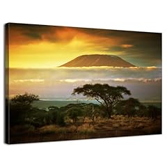 Aiyisu sunset african for sale  Delivered anywhere in USA 