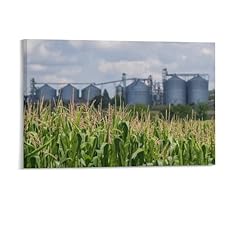 Corn field silos for sale  Delivered anywhere in USA 