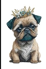 Cute brussels griffon for sale  Delivered anywhere in UK