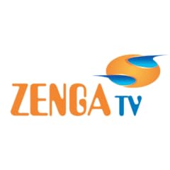 Zengatv usato  Spedito ovunque in Italia 