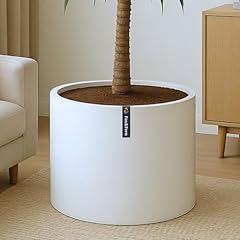 Fox fern 18.7 for sale  Delivered anywhere in USA 