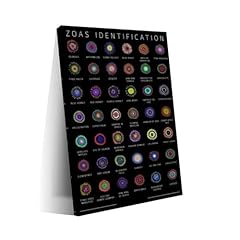 Zoanthids identification chart for sale  Delivered anywhere in USA 