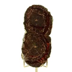 Lithophyse 349.0 carats d'occasion  Livré partout en Belgiqu