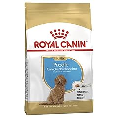 Royal canin dry for sale  Delivered anywhere in UK