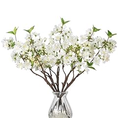 Dilatata cherry blossom for sale  Delivered anywhere in UK