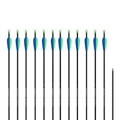 12x carbonpfeil easton gebraucht kaufen  Wird an jeden Ort in Deutschland