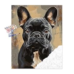 French bulldog dog for sale  Delivered anywhere in USA 