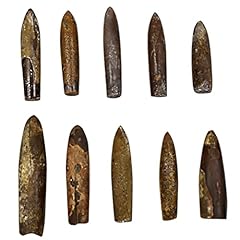 Imikeya realistic belemnite for sale  Delivered anywhere in UK
