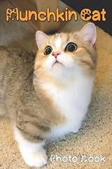 Munchkin cat photo for sale  Delivered anywhere in USA 