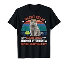 Cat british short for sale  Delivered anywhere in USA 