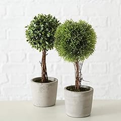 Mucplants 2er set gebraucht kaufen  Wird an jeden Ort in Deutschland