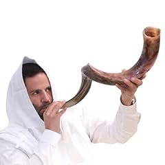 Kosher kudu shofar for sale  Delivered anywhere in USA 