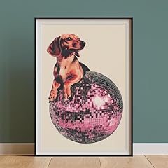 Pipapa red dachshund for sale  Delivered anywhere in USA 