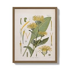 Bzstyleart framed vintage for sale  Delivered anywhere in USA 