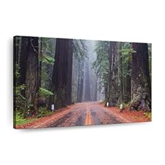 Elephantstock road redwood for sale  Delivered anywhere in USA 