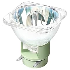 Lampada 230w per usato  Spedito ovunque in Italia 