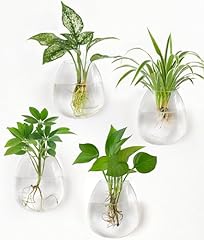 Dahey propagation stations for sale  Delivered anywhere in USA 