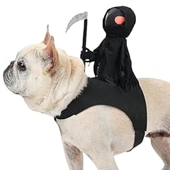 Hunde halloween kostüm gebraucht kaufen  Wird an jeden Ort in Deutschland