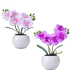 Ddhs 2pcs orchids for sale  Delivered anywhere in USA 