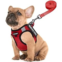 Fayogoo service dog for sale  Delivered anywhere in USA 