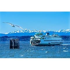 Artdirect seagull washington for sale  Delivered anywhere in USA 