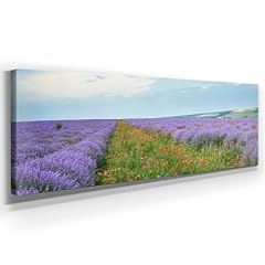Panorama leinwand mohn gebraucht kaufen  Wird an jeden Ort in Deutschland