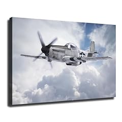 Mustang usa aviation for sale  Delivered anywhere in USA 