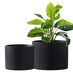Swkien ceramic plant for sale  Delivered anywhere in USA 