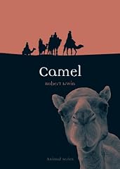Camel usato  Spedito ovunque in Italia 