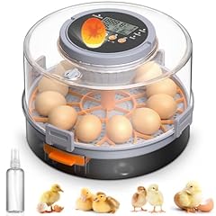 Rsaoty eier brutautomat gebraucht kaufen  Wird an jeden Ort in Deutschland