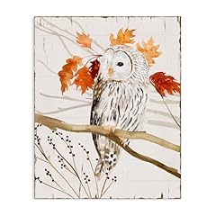 Stupell industries owl for sale  Delivered anywhere in USA 