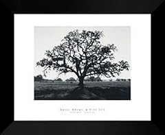 Ansel adams framed for sale  Delivered anywhere in USA 