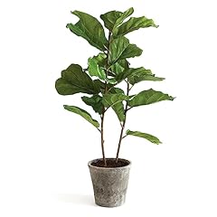 National tree company for sale  Delivered anywhere in USA 